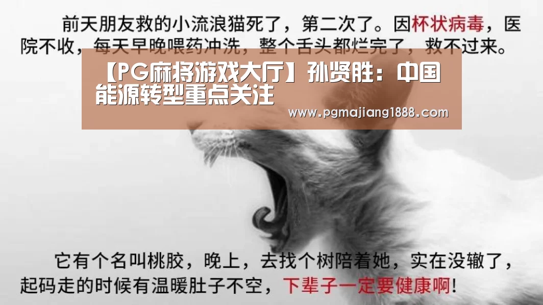 PG真人麻将