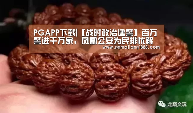 PGAPP下载|【战时政治建警】百万警进千万家,凤凰公安为民排忧解难(图3) PG真人麻将