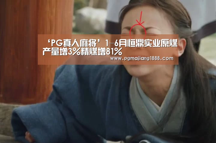 ‘PG真人麻将’1-6月恒鼎实业原煤产量增3%精煤增81%(图3) PG麻将游戏大厅