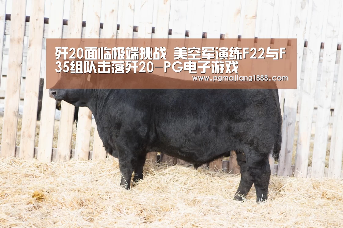歼20面临极端挑战 美空军演练F22与F35组队击落歼20-PG电子游戏(图2) PGAPP下载
